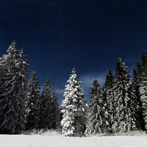 blackalley高清图集大图集
