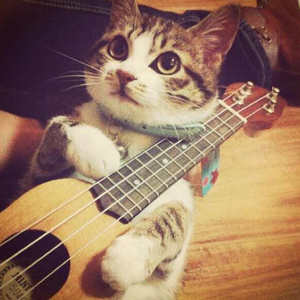 blackalley高清图集大图集
